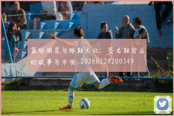 篮球明星与球鞋文化：签名鞋背后的故事与市场_20260529200349