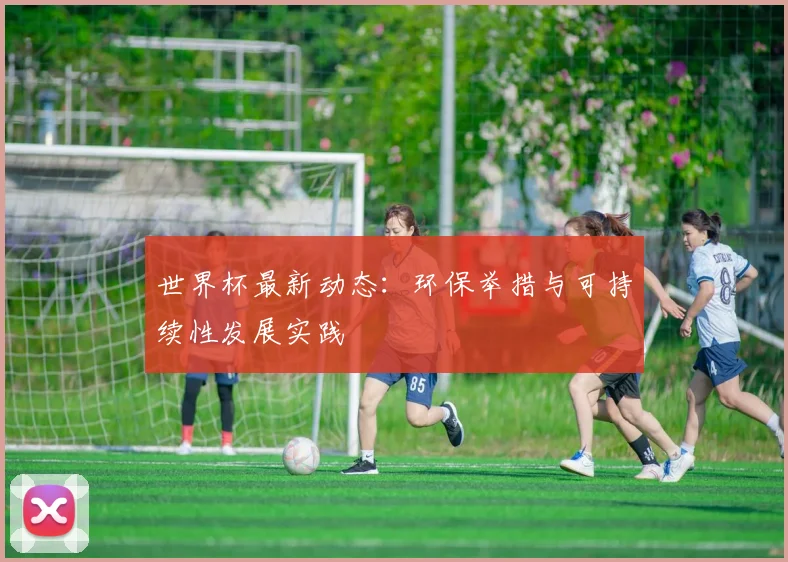 世界杯最新动态:环保举措与可持续性发展实践