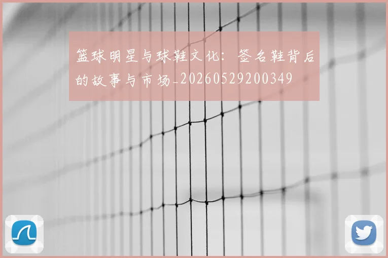 篮球明星与球鞋文化：签名鞋背后的故事与市场_20260529200349