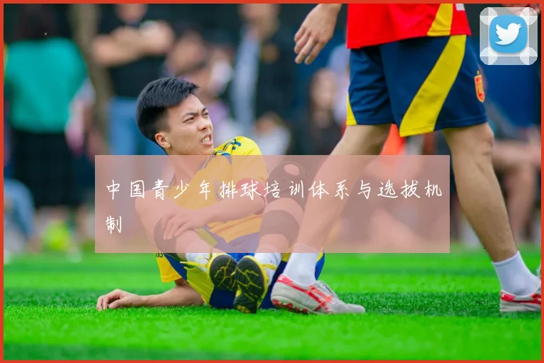 中国青少年排球培训体系与选拔机制